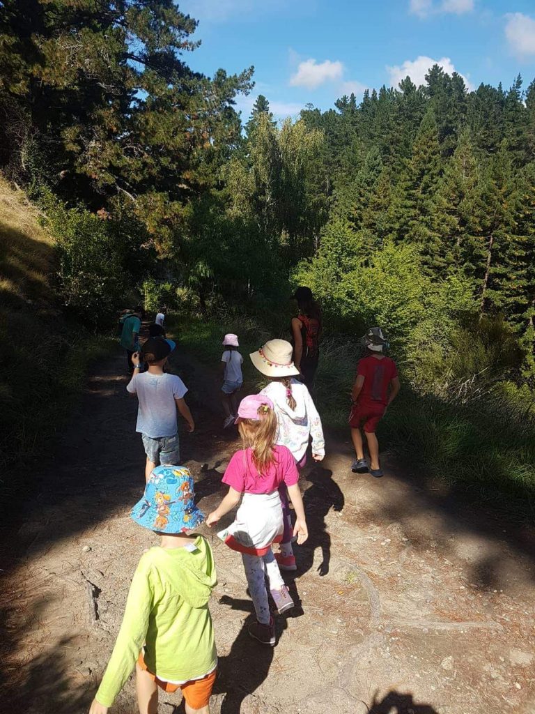 Montessori class at Port Ahuriri Primary School walking at Te Mata Peak, Hawkes Bay